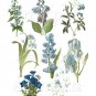 Vintage Blue Flowers digital collage sheet