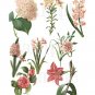 Vintage Pink Flowers digital collage sheet