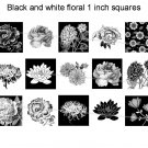 Black and white flowers theme 1 inch squares 4x6 digital collage sheet