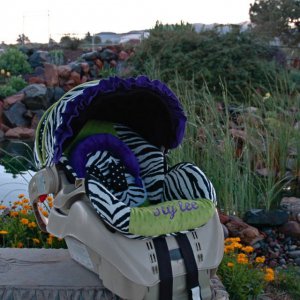 Snugride Replacement Infant Car Seat Cover- BB Ry'lee -rt & emb.