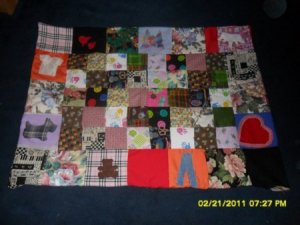 DS logo Blanket Number 3