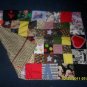 DS logo Blanket  boy 2