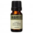 C.O. Bigelow Essential Oil - Tea Tree - 10 ml