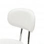 Round Shape Adjustable Salon Stool with Back and Line White