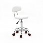 Round Shape Adjustable Salon Stool with Back and Line White