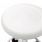 Round Shape Adjustable Salon Stool with Back and Line White