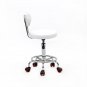 Round Shape Adjustable Salon Stool with Back and Line White