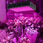 1800W 180*10W Full Spectrum 3030 Lamp Bead Plant Lamp Single Control Black