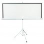 Leadzm 100 INCH 4:3 HD Portable Pull Up Projector Screen Home Theater Stand Tripod
