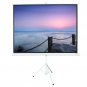 Leadzm 100 INCH 4:3 HD Portable Pull Up Projector Screen Home Theater Stand Tripod