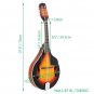 A Style Elegant Mandolin with Guard Board Sunset