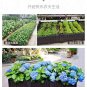 Plastic Planting Box 4 Basins 16 Extended Feet