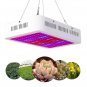 2000W Dual Chips 380-730nm Full Light Spectrum LED Plant Growth Lamp White