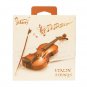 Glarry GV302 Violin 4/4 spruce panels jujube fittings Dark Dumb Light