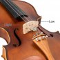 Glarry GV302 Violin 4/4 spruce panels jujube fittings Dark Dumb Light