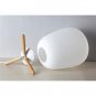 Ultra Modern Mini Fashion Frosted Glass Lampshade and Wooden Bracket Texture Study Table Lamp
