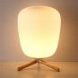 Ultra Modern Mini Fashion Frosted Glass Lampshade and Wooden Bracket Texture Study Table Lamp