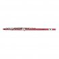 Cupronickel C 16 Closed Holes Concert Band Flute Red