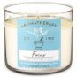 Bath & Body Works Aromatherapy Focus - Eucalyptus & Tea Scented Candle 14.5 oz / 411 g