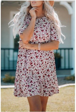 Puff Sleeve A-line Floral Print Mini Dress