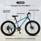 S24109 Elecony 24 Inch Fat Tire Bike Adult/Youth Full Shimano 7 Speeds Mountain Bike