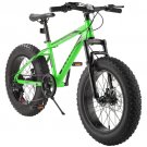 S20109 Elecony 20 Inch Fat Tire Bike Adult/Youth Full Shimano 7 Speed Mountain Bike