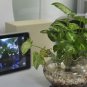 7 Inch Capacitive Multi-Touch A8 1GHz CPU, Android 2.2 Tablet PC ,3G, Bluetooth, GPS, 8GB HDD