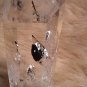 QUARTZ CRYSTAL POINT MEDIUM RECORDER - VERY RARE IN MINT CONDITION