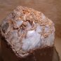 SMOKEY QUARTZ CRYSTAL LARGE RECORDER - AWESOME SPECIMEN "ALIEN EGG"