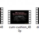 cam cushion