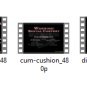 cam cushion