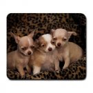 Chihuahua Puppies Large Mousepad  FREE SHIPPING