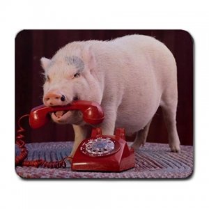 Funny Pig Using the Red Phone Large Mousepad  FREE SHIPPING