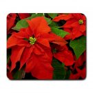 Christmas Poinsettia Red Flowers Large Mousepad  FREE SHIPPING