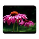Purple Cone Flower Large Mousepad  FREE SHIPPING