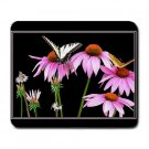 Cone Flowers with Butterflies Large Mousepad  FREE SHIPPING
