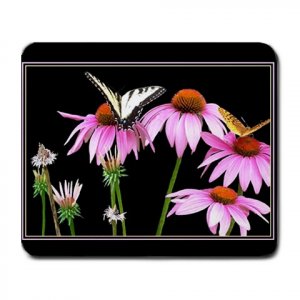 Cone Flowers with Butterflies Large Mousepad  FREE SHIPPING