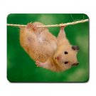Hang In There Hamster Large Mousepad FREE SHIPPING