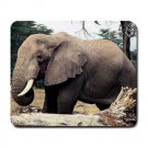 Elephant Large Mousepad FREE SHIPPING