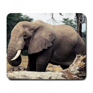 Elephant Large Mousepad FREE SHIPPING