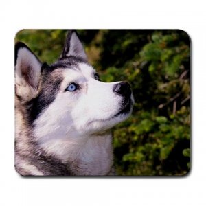 Husky Dog Large Mousepad FREE SHIPPING