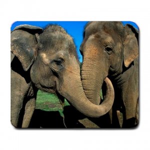 Asian Elephants Large Mousepad FREE SHIPPING
