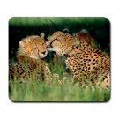 Grooming Cheetahs Large Mousepad FREE SHIPPING