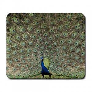 Peacock Bird Large Mousepad FREE SHIPPING