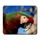 Hybrid Macaw Bird Large Mousepad FREE SHIPPING