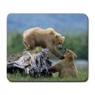 Grizzly Siblings at Play Large Mousepad FREE SHIPPING