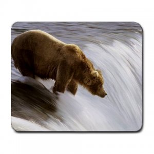 Grizzly Bear Fishing Large Mousepad FREE SHIPPING