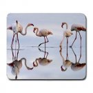 Flamingos in Water Large Mousepad FREE SHIPPING