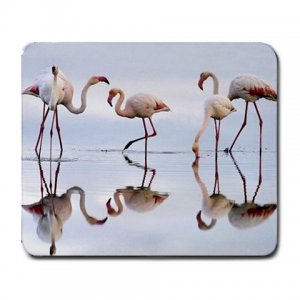 Flamingos in Water Large Mousepad FREE SHIPPING