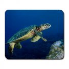 Hawksbill Turtle Large Mousepad FREE SHIPPING